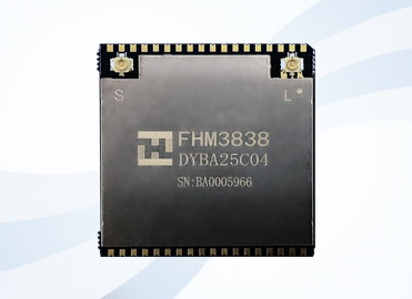 FHM3838